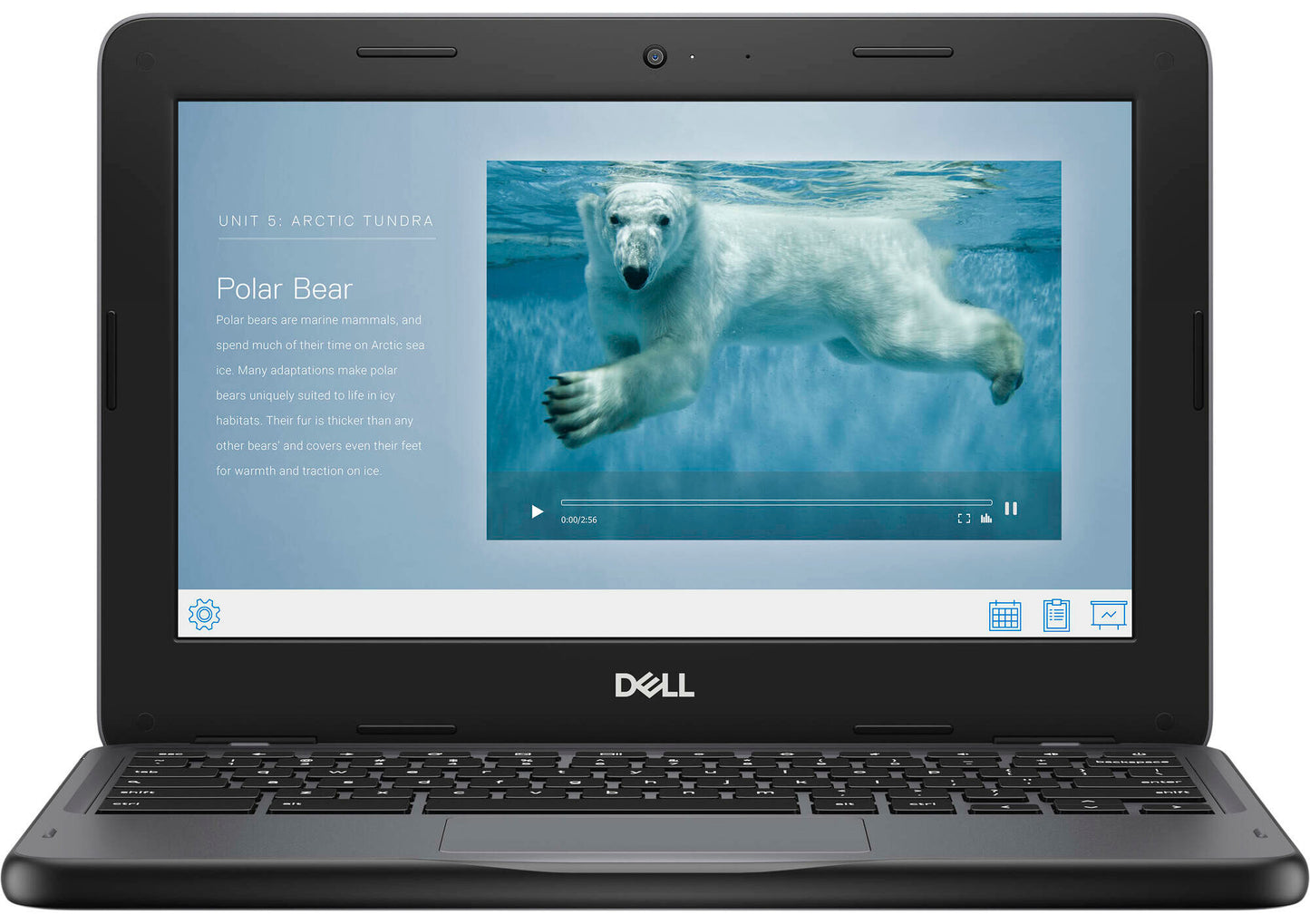 Dell Chromebook 11 3110 | Updates till 2031 | 4GB RAM | 32GB Storage