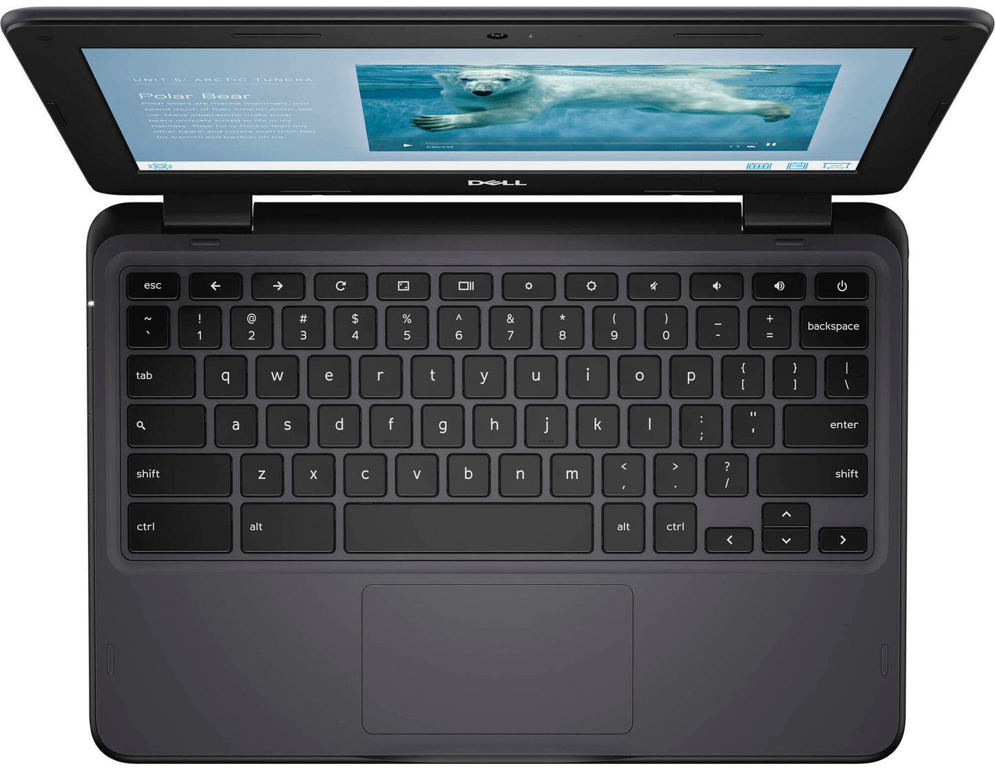 Dell Chromebook 11 3110 | Updates till 2031 | 4GB RAM | 32GB Storage